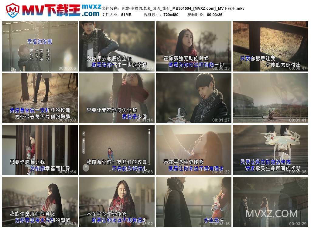 喜波-幸福的玫瑰_国语_流行_MB301504